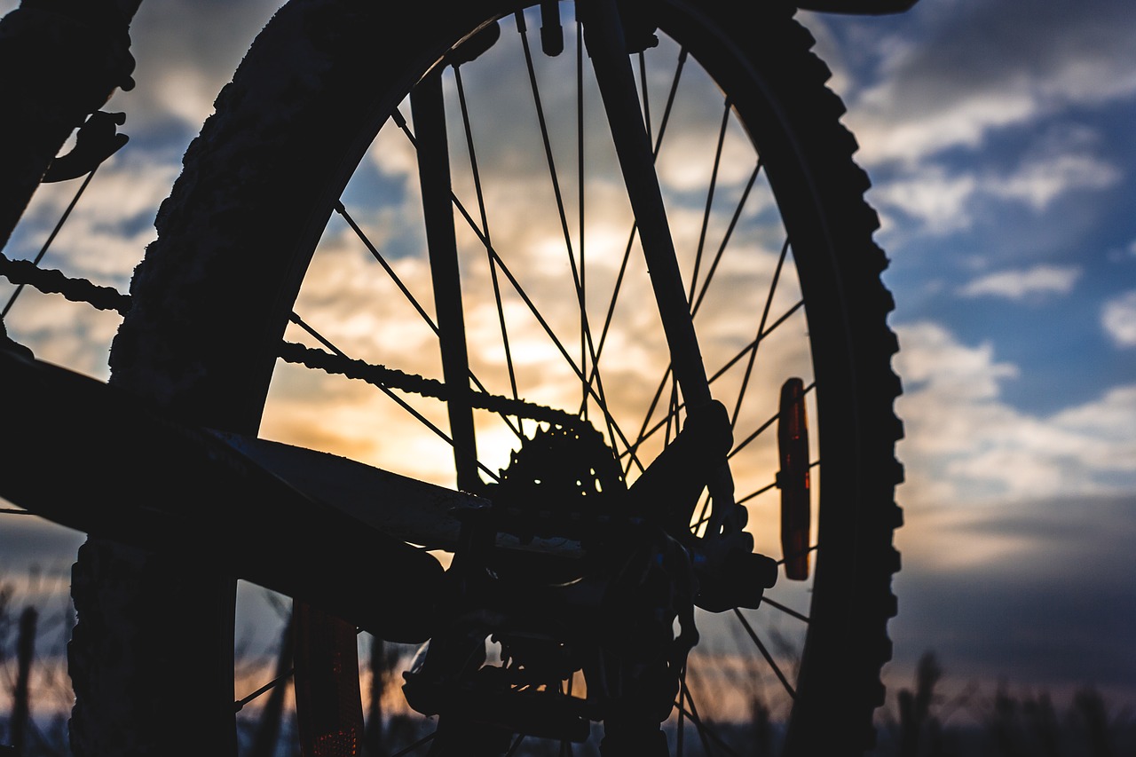 Gambar 3: Rekomendasi terbaik sepeda MTB tahun ini adalah produk keluaran brand TREX. (Pixabay/Christoph Schutz)